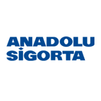 Çözüm ortağı